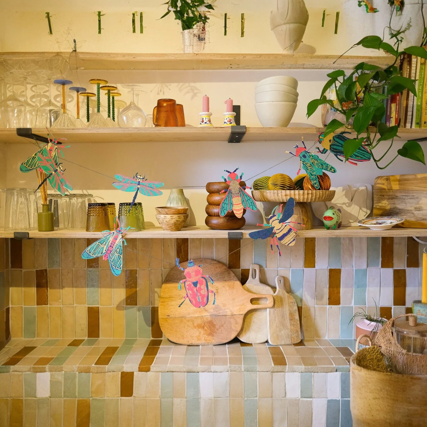 Decor & Curiousities