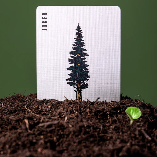 playing cards - smokey bear by art of play