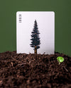 playing cards - smokey bear by art of play