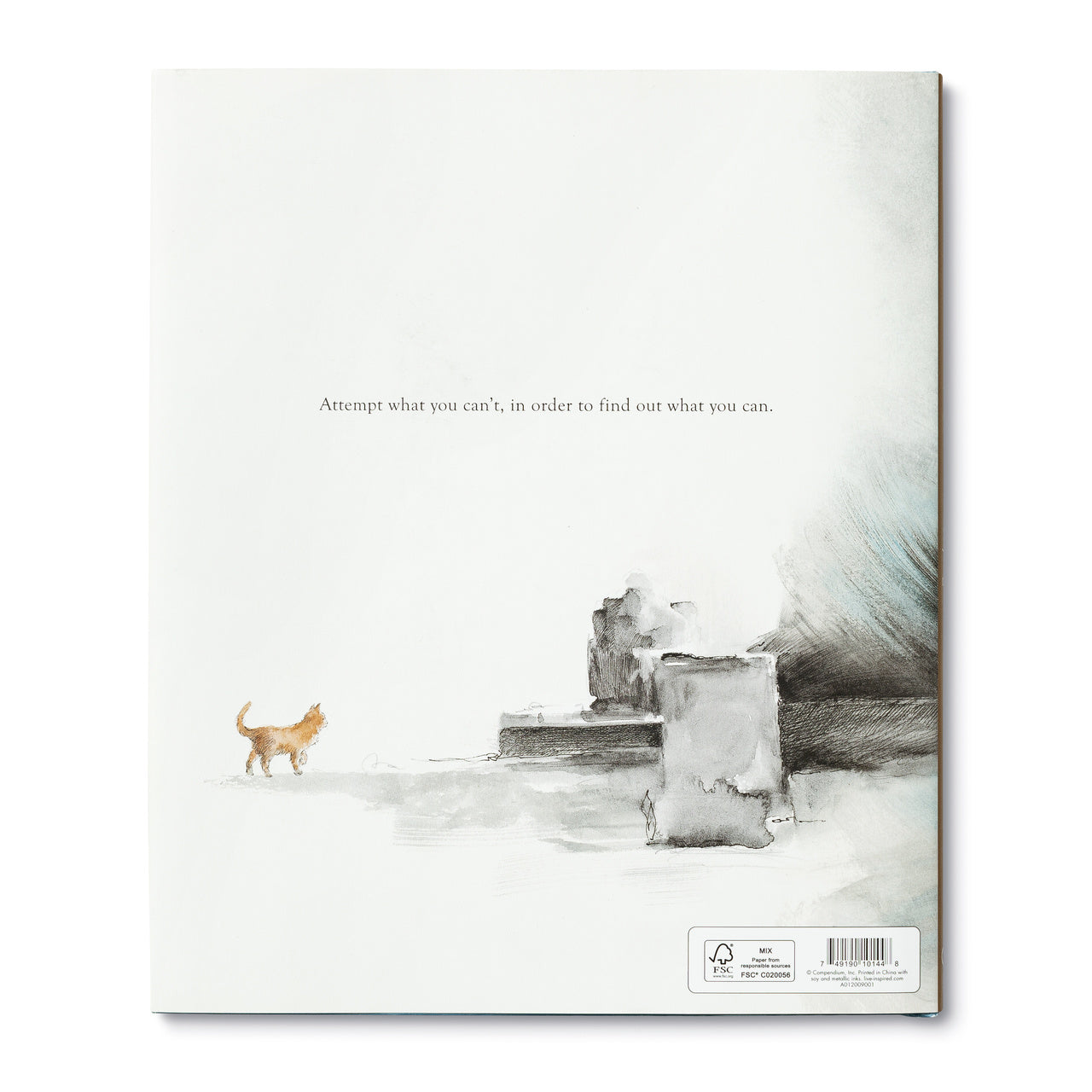 book - trying by compendium