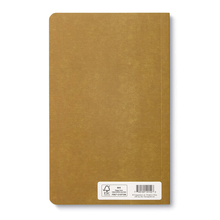 book - "write now" journal - every day is a beautiful day by compendium