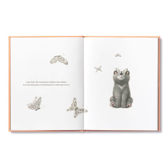 book - feeling grateful (bear plush companion) by compendium