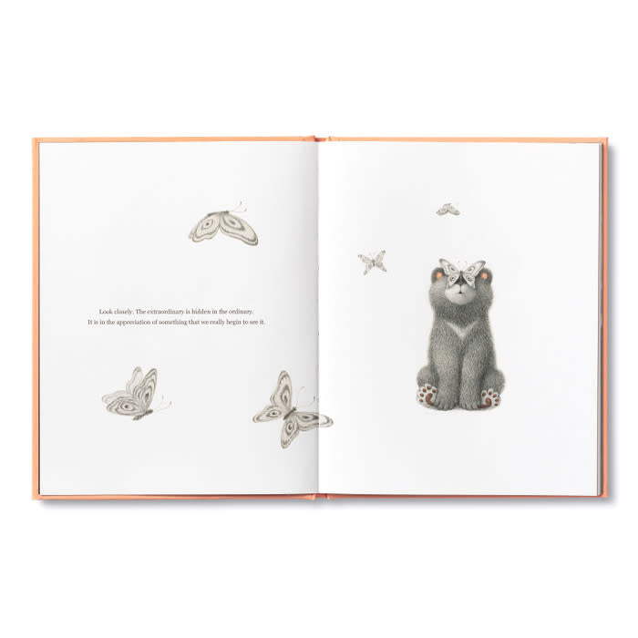 book - feeling grateful (bear plush companion) by compendium