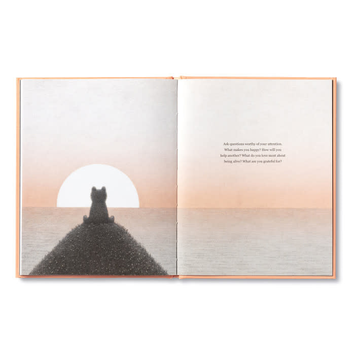 book - feeling grateful (bear plush companion) by compendium