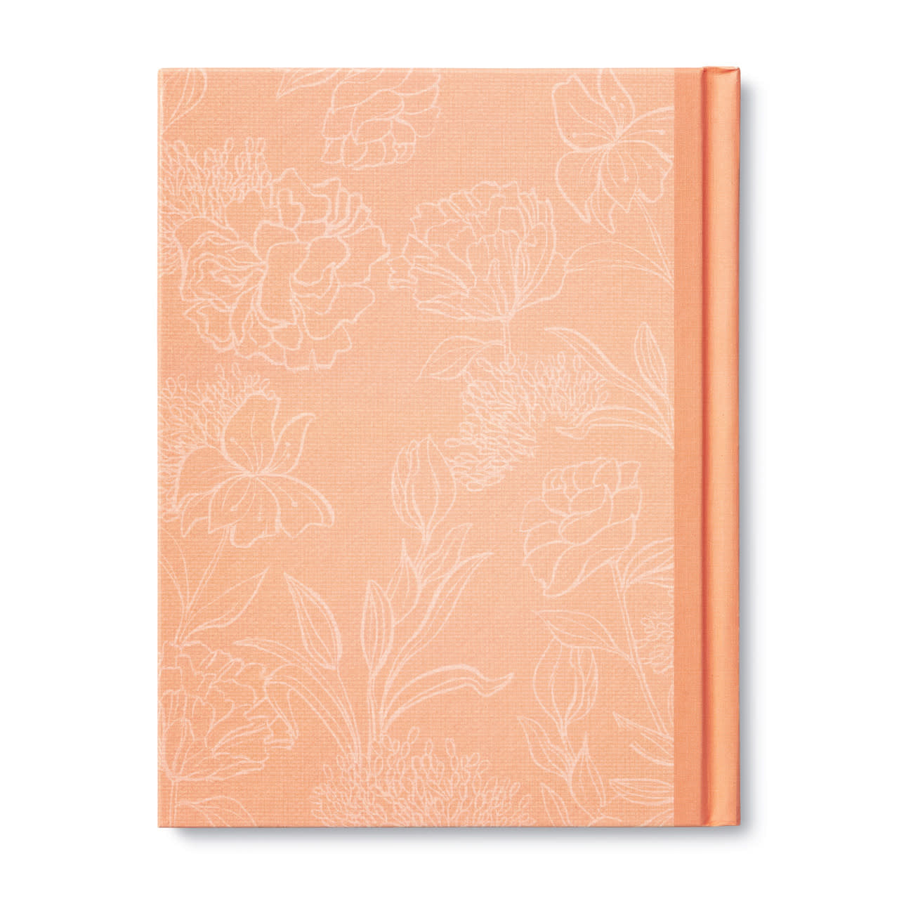 book - my grandma by compendium