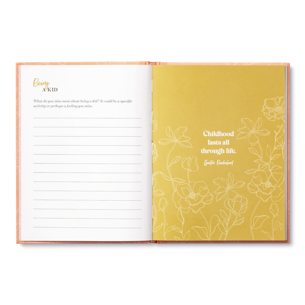 book - my grandma by compendium