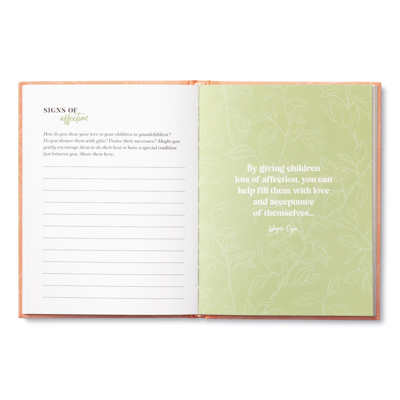 book - my grandma by compendium
