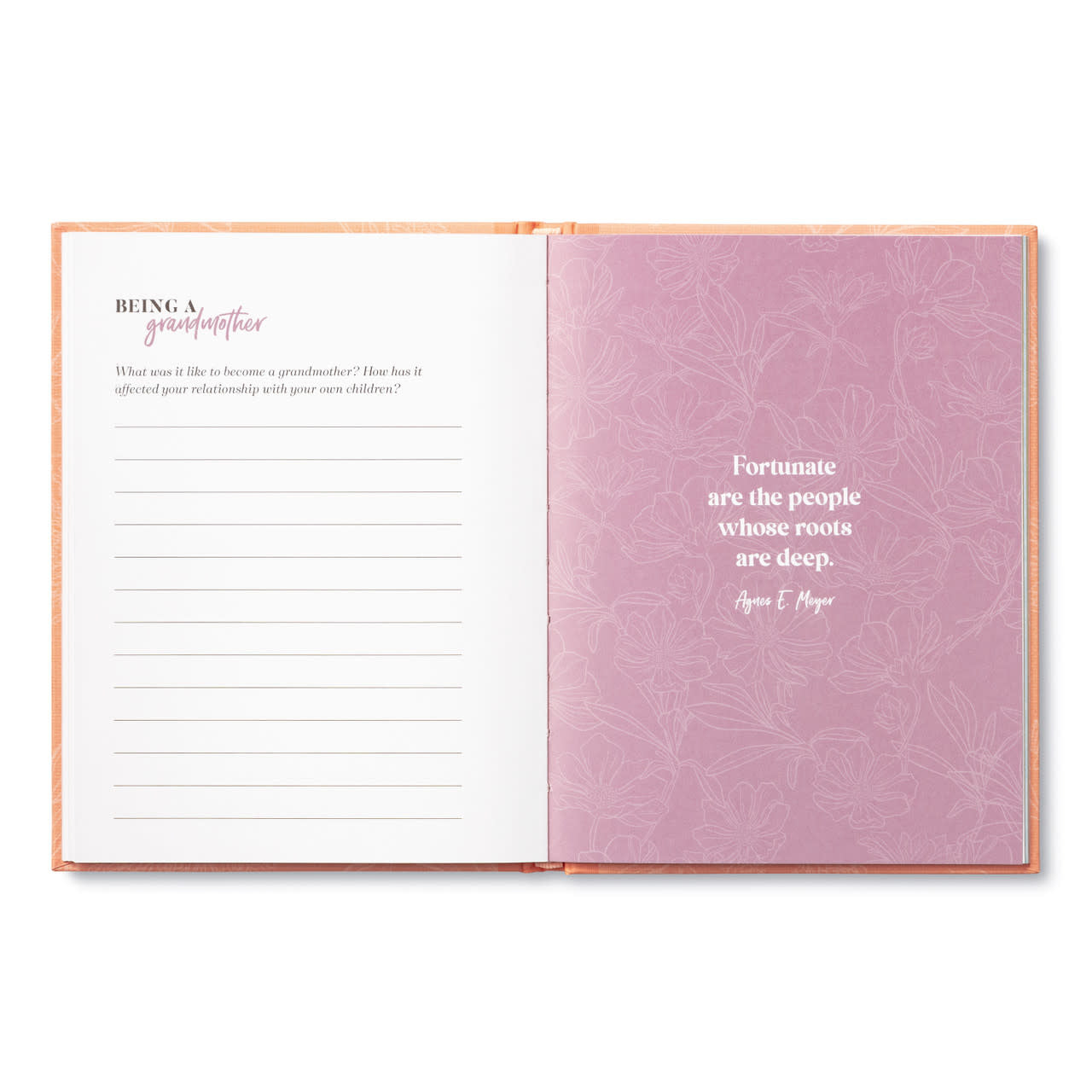 book - my grandma by compendium