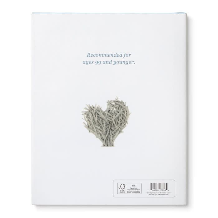 book - chasing dreams (raccoon plush companion) by compendium