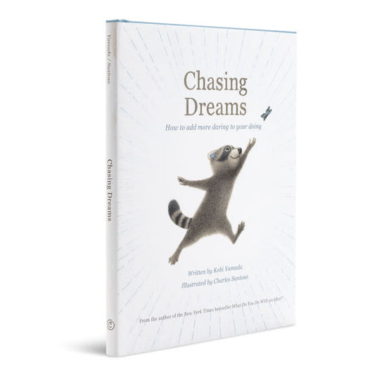 book - chasing dreams (raccoon plush companion) by compendium