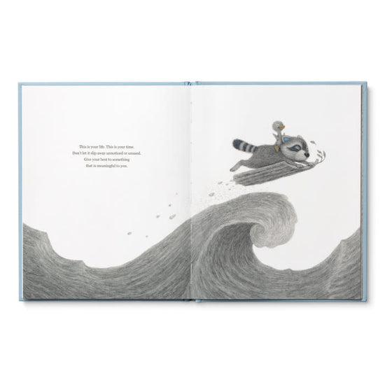 book - chasing dreams (raccoon plush companion) by compendium