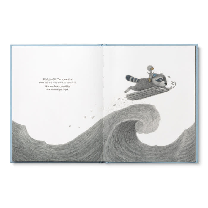 book - chasing dreams (raccoon plush companion) by compendium