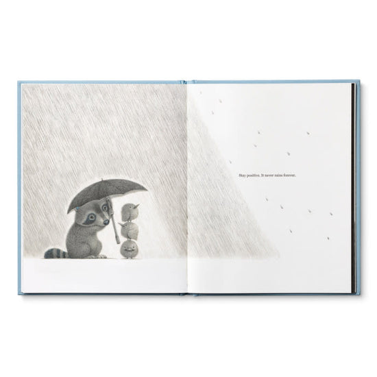 book - chasing dreams (raccoon plush companion) by compendium