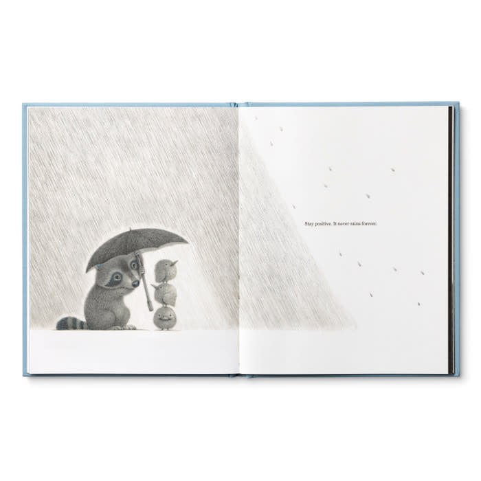 book - chasing dreams (raccoon plush companion) by compendium