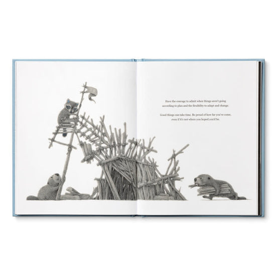 book - chasing dreams (raccoon plush companion) by compendium