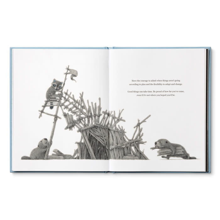 book - chasing dreams (raccoon plush companion) by compendium