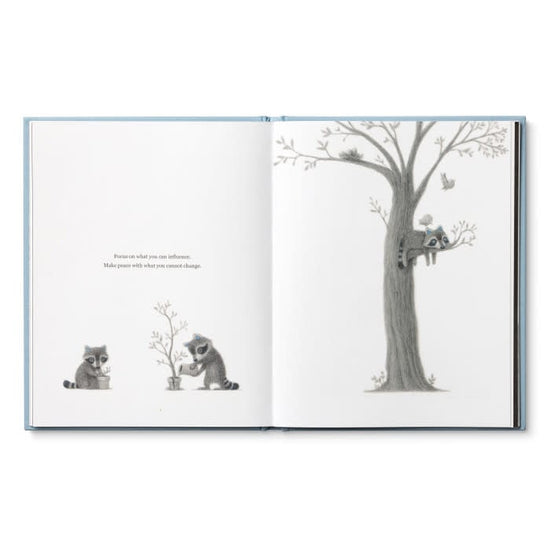 book - chasing dreams (raccoon plush companion) by compendium