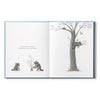 book - chasing dreams (raccoon plush companion) by compendium