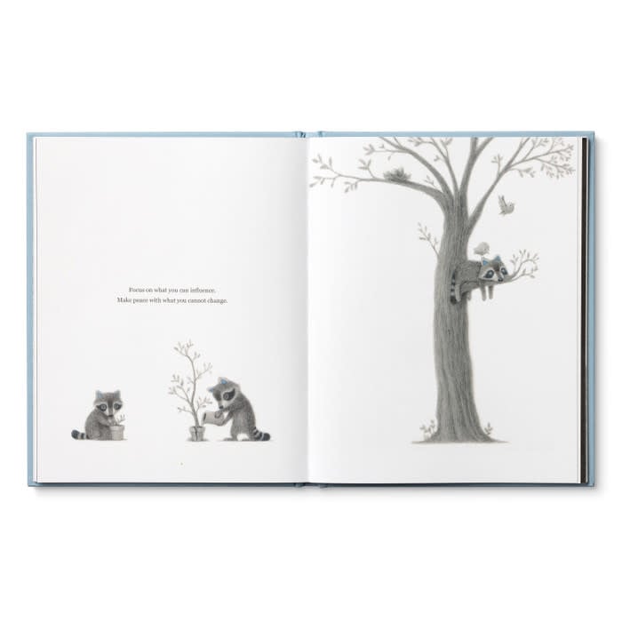 book - chasing dreams (raccoon plush companion) by compendium