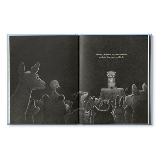 book - chasing dreams (raccoon plush companion) by compendium