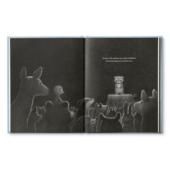 book - chasing dreams (raccoon plush companion) by compendium