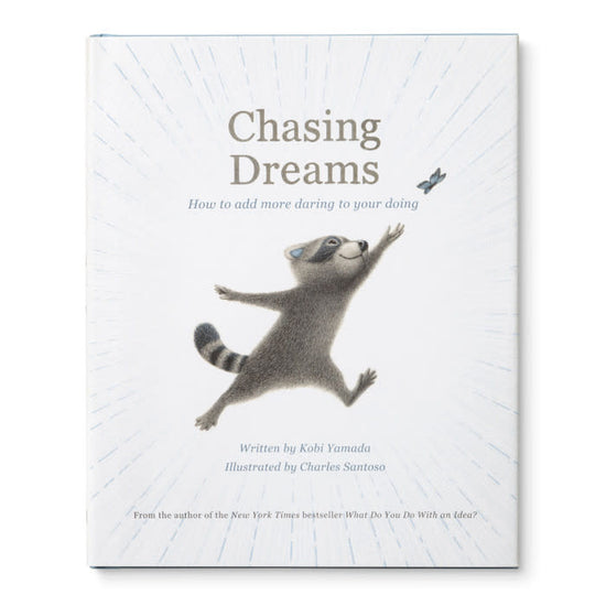 book - chasing dreams (raccoon plush companion) by compendium