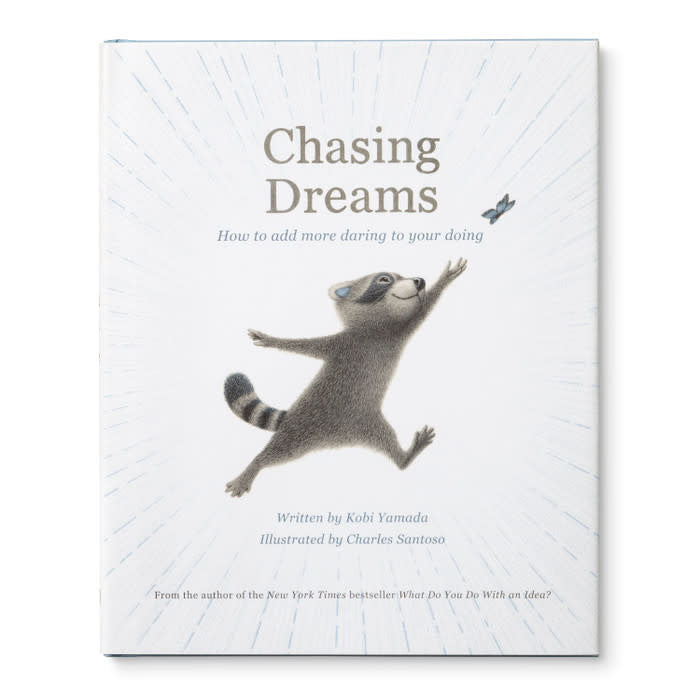 book - chasing dreams (raccoon plush companion) by compendium
