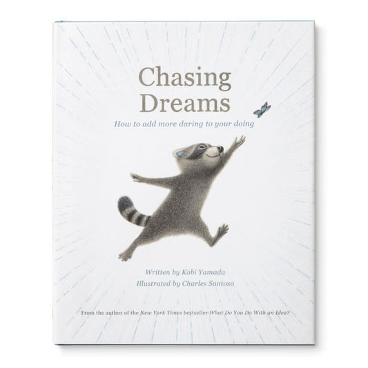 book - chasing dreams (raccoon plush companion) by compendium