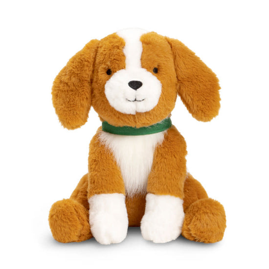 gift set - book & plush - with my dog by compendium
