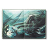 book - the storyteller's almanac by compendium