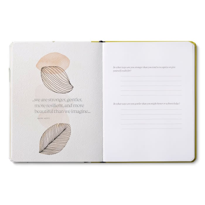 book - guided journal - rooted in resilience by compendium