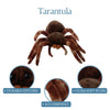toy - animal plush - wild onez - tarantula by the petting zoo