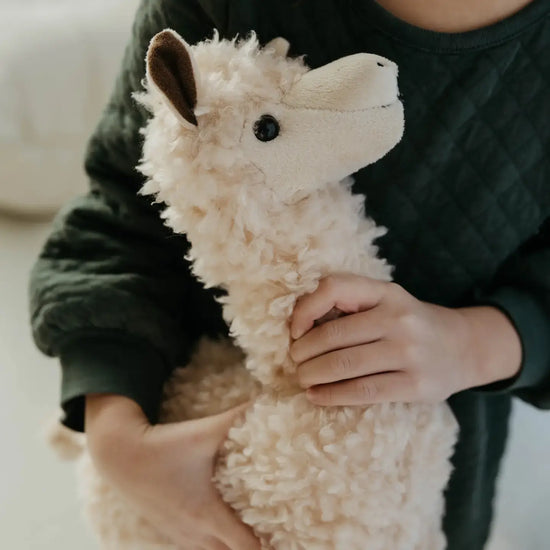 toy - animal plush - wild onez - hedgehog by the petting zoo