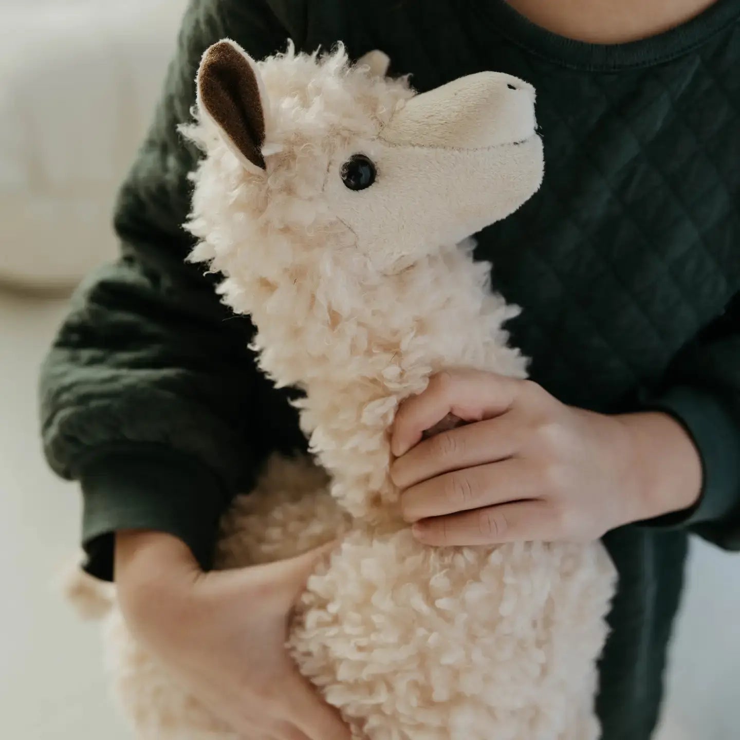 toy - animal plush - wild onez - hedgehog by the petting zoo
