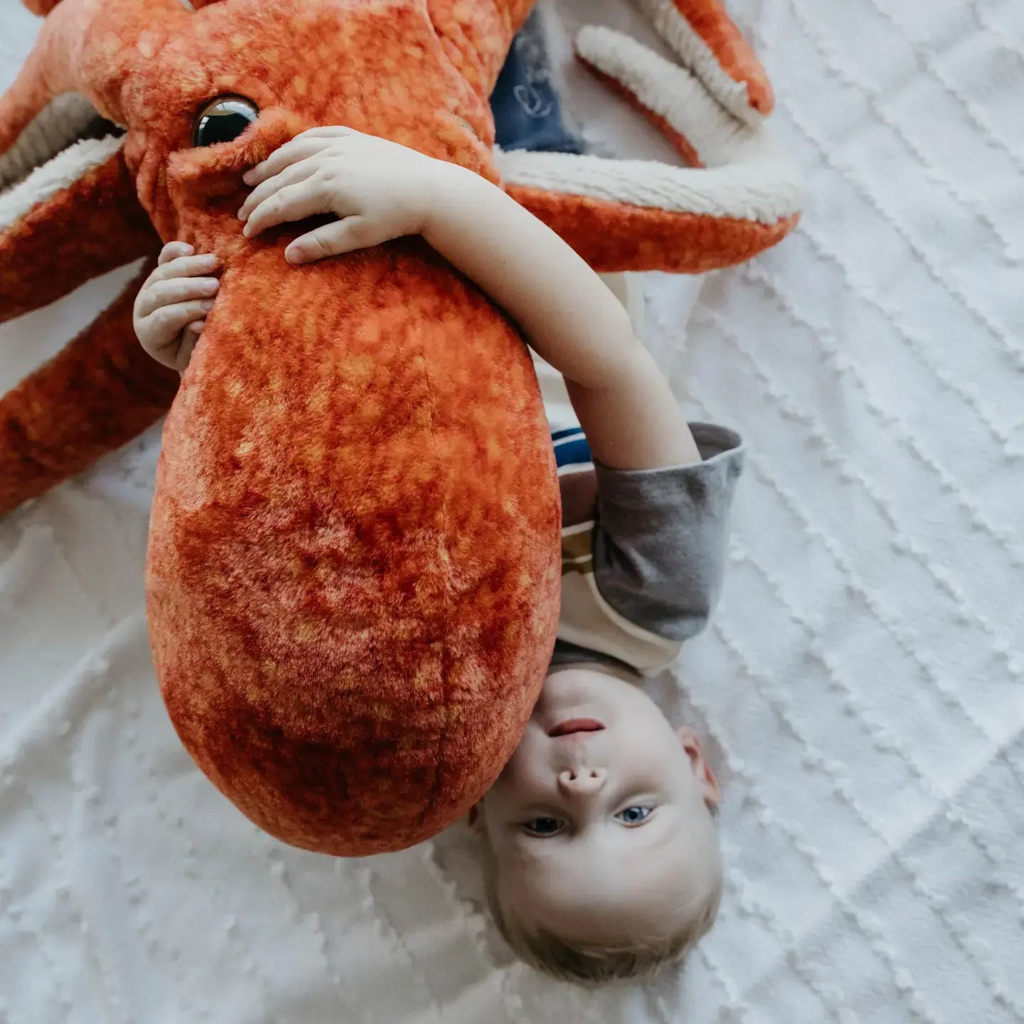 toy - animal plush - pacific red octopus 24" by the petting zoo