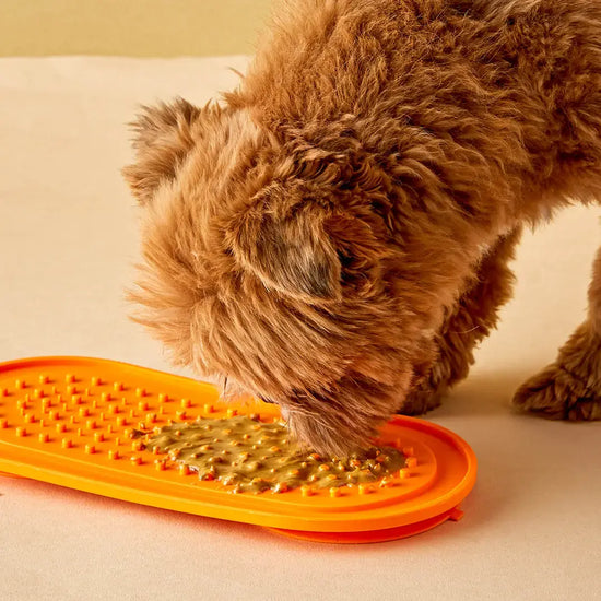 dog treat set - peanut butter + lick mat by poochie butter