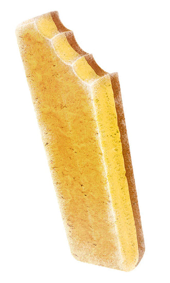 dog treat - ice cream by spunky pup bakery