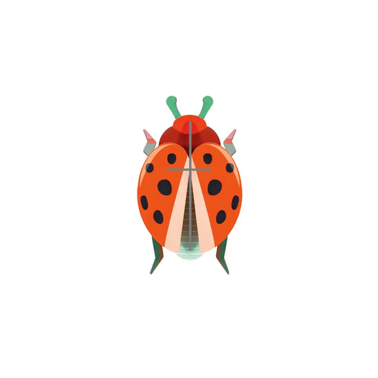 3d insect puzzle - small beetle by studio roof