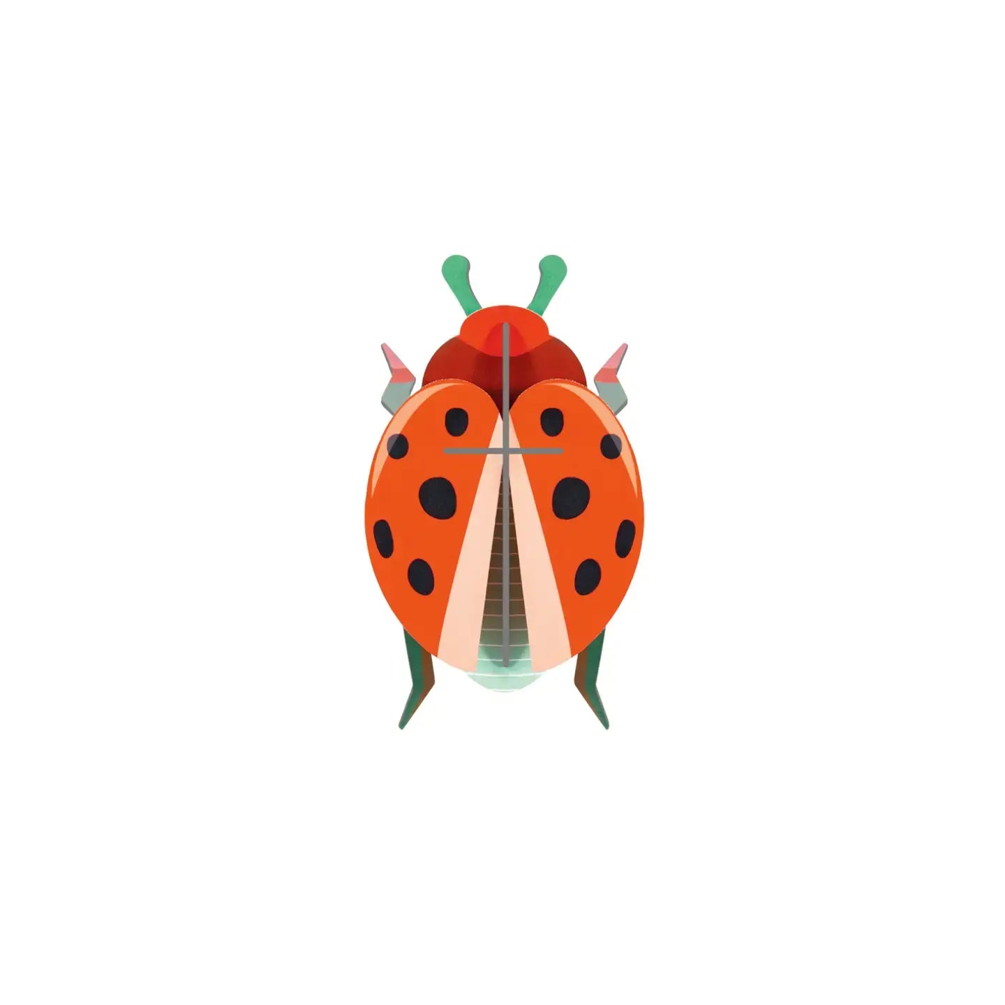 3d insect puzzle - small beetle by studio roof