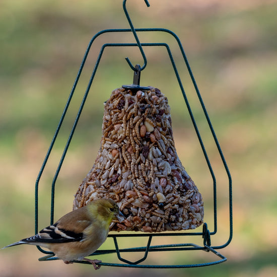 bird seed - bell hanger by mr. bird