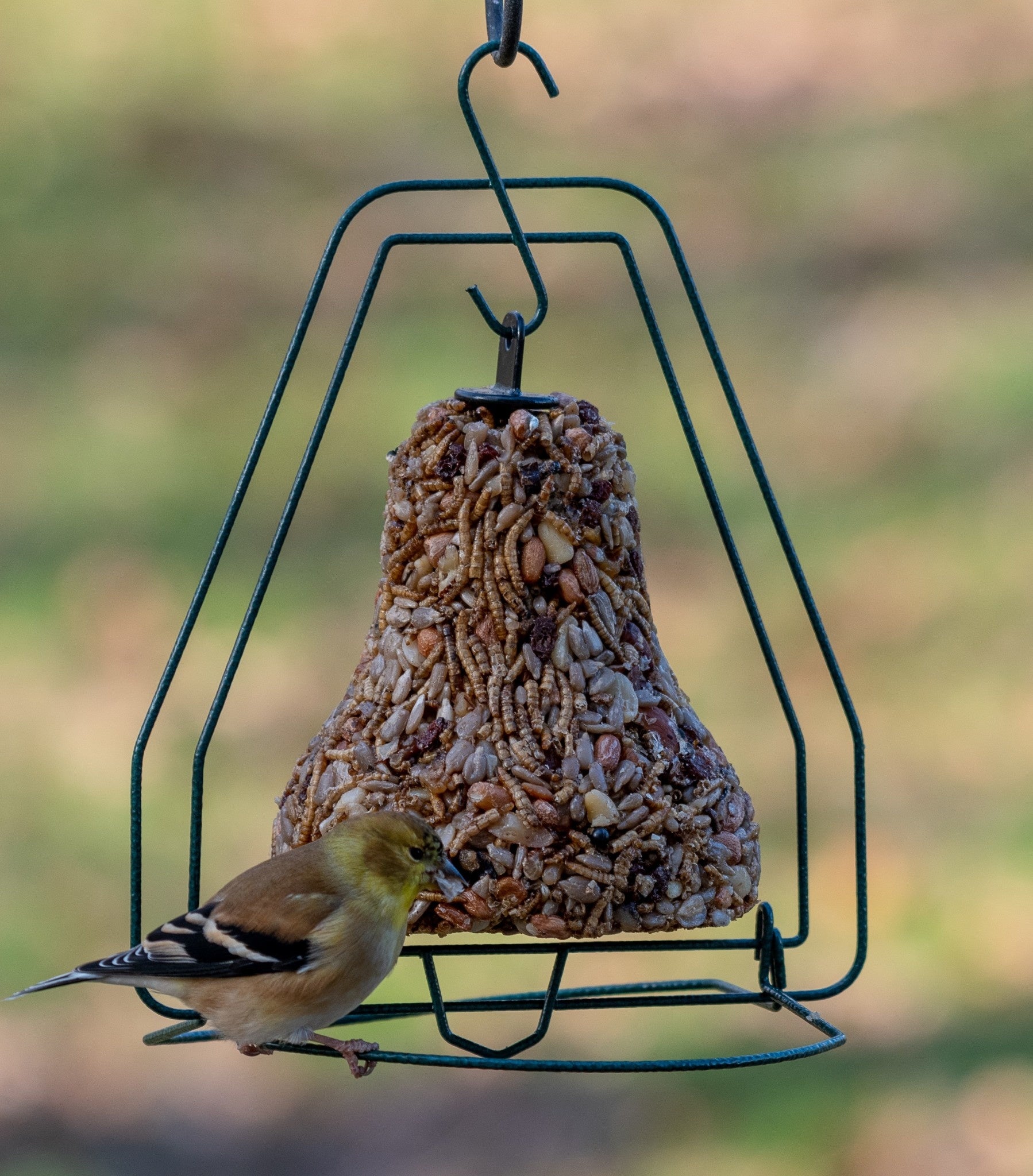 bird seed - bell hanger by mr. bird
