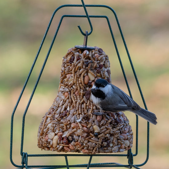 bird seed - bell hanger by mr. bird