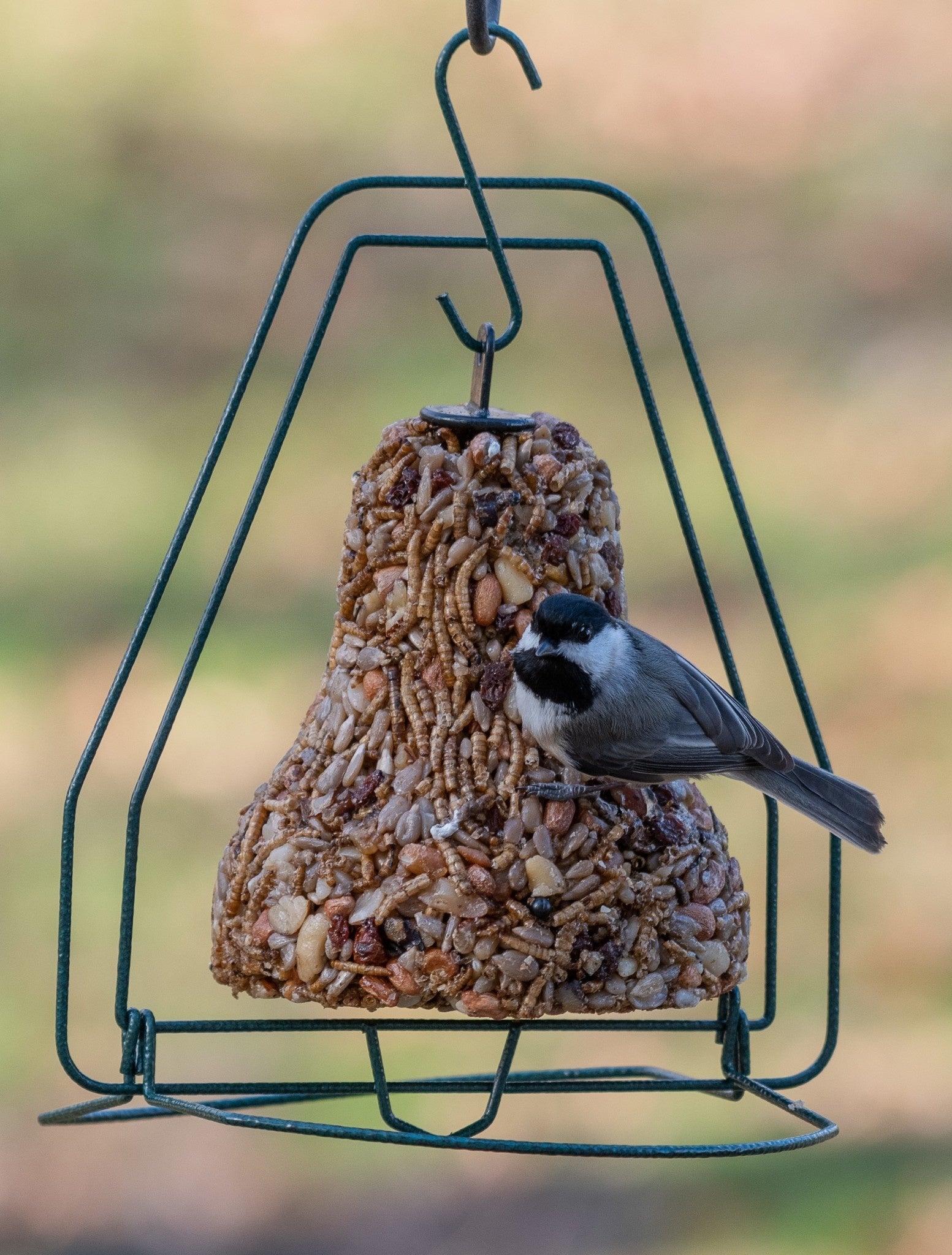 bird seed - bell hanger by mr. bird