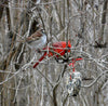 bird seed - little heart by mr. bird