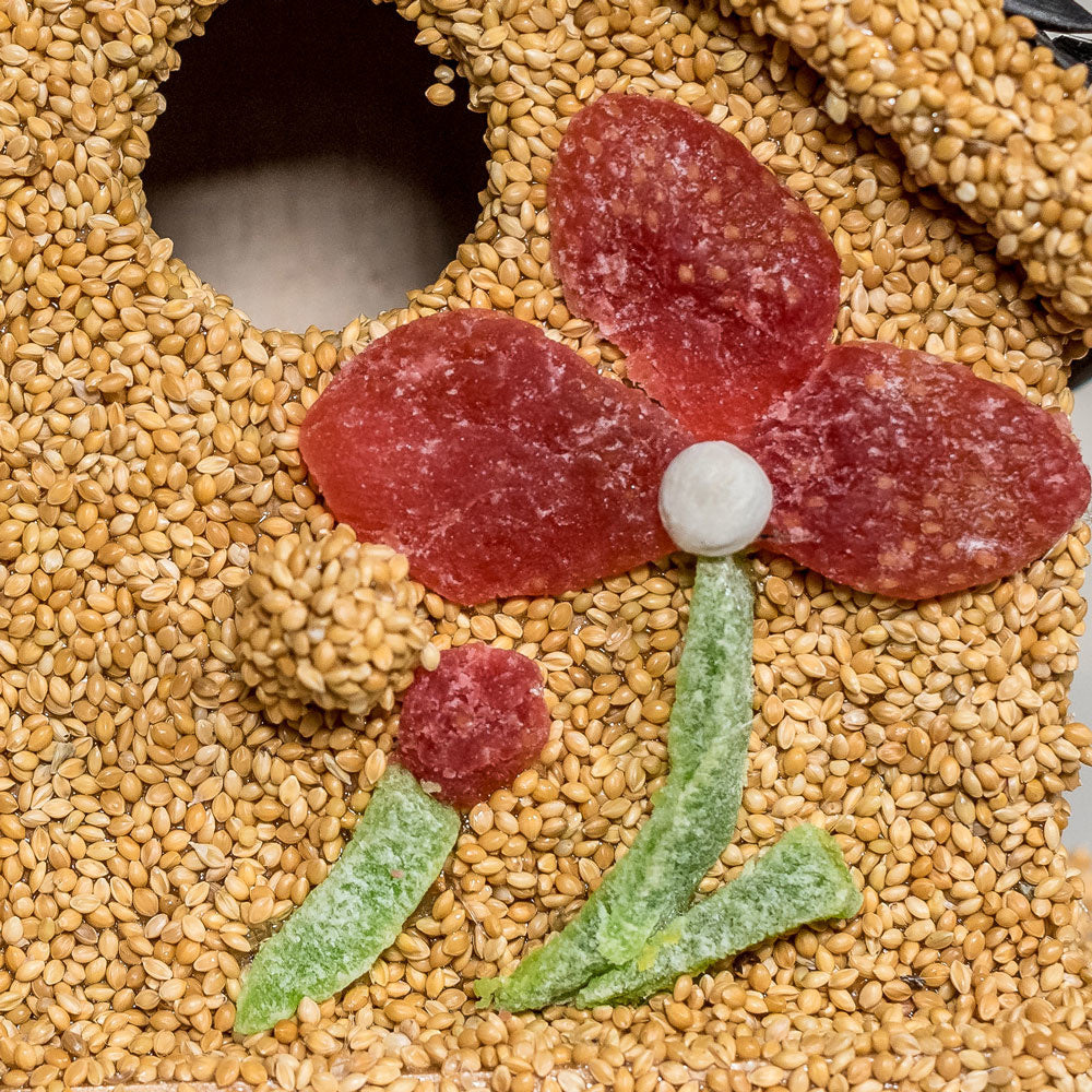 bird seed - fruit cottage by mr. bird