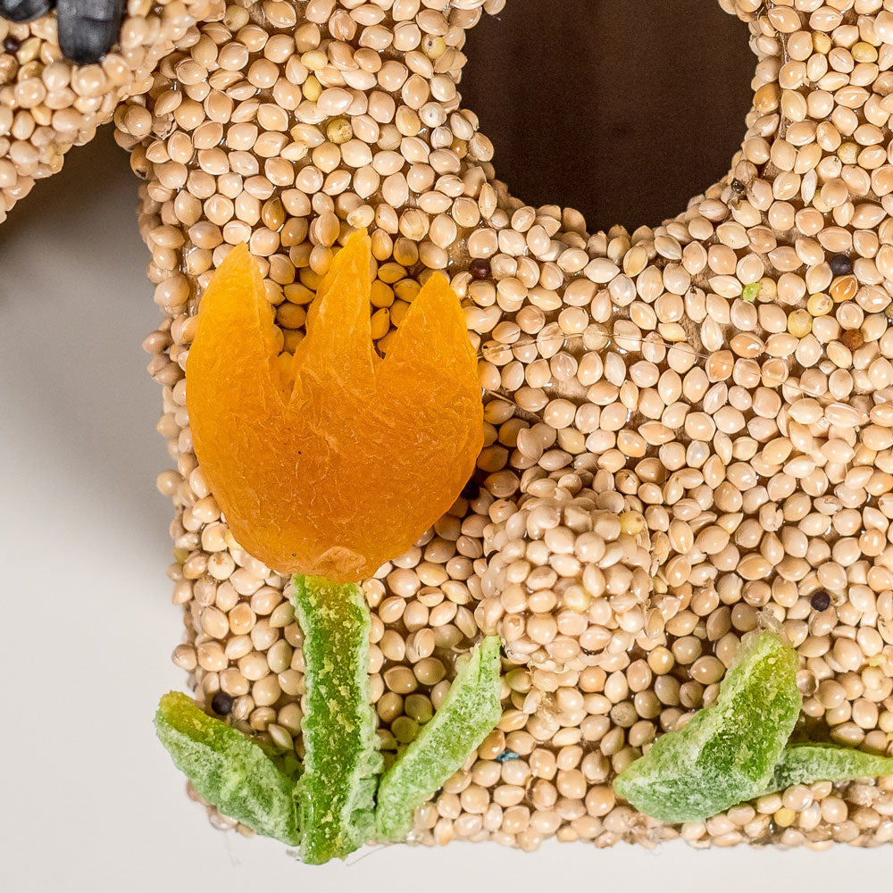 bird seed - fruit cottage by mr. bird