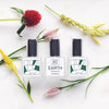 perfume oil - blends - by kelly + jones