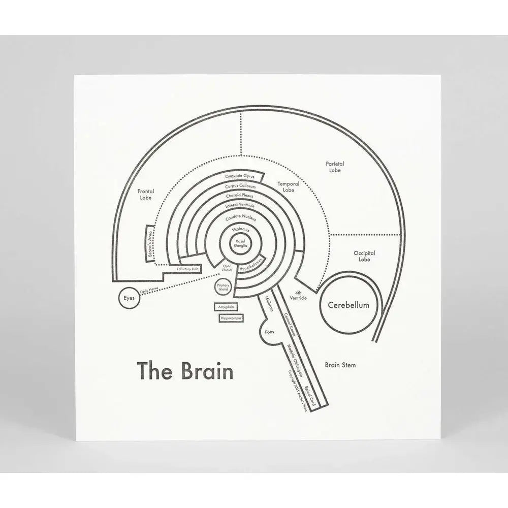 art print - letterpress - 8" x 8" - brain by archie's press