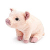 plush toy - flying pig by compendium