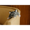 toy - animal plush - wild onez - sugar glider by the petting zoo